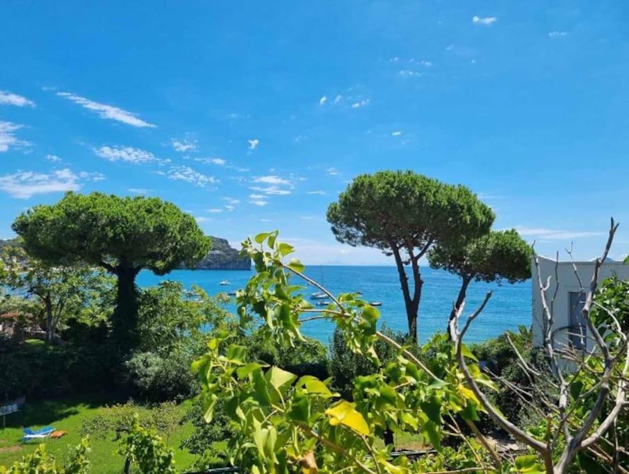 Apartamento In A - Matilde
