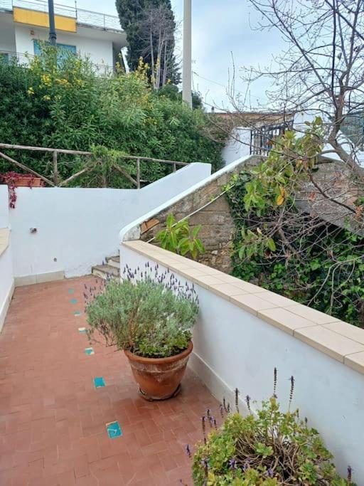 Apartamento In A - Matilde Gaeta